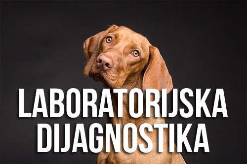 LABARATORIJSKA DIJAGNOSTIKA