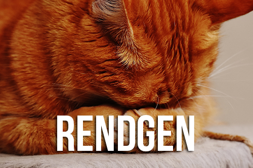 m rendgen